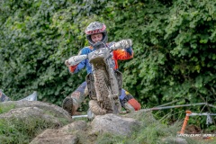 IMG_0500
